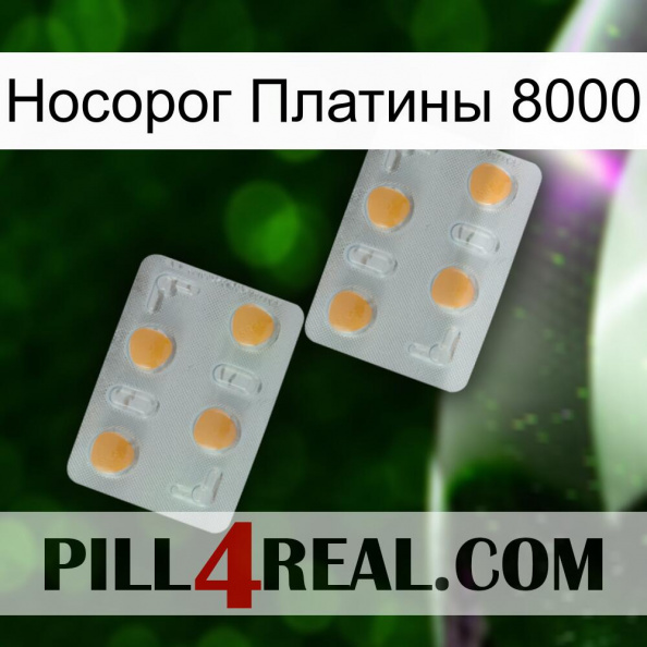 Носорог Платины 8000 25.jpg